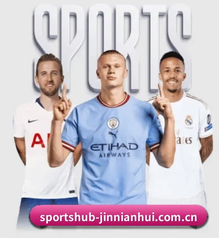 五大服务分区,信息按项目分类 - JIN